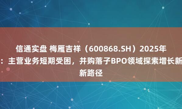 信通实盘 梅雁吉祥（600868.SH）2025年中报：主营业务短期受困，并购落子BPO领域探索增长新路径
