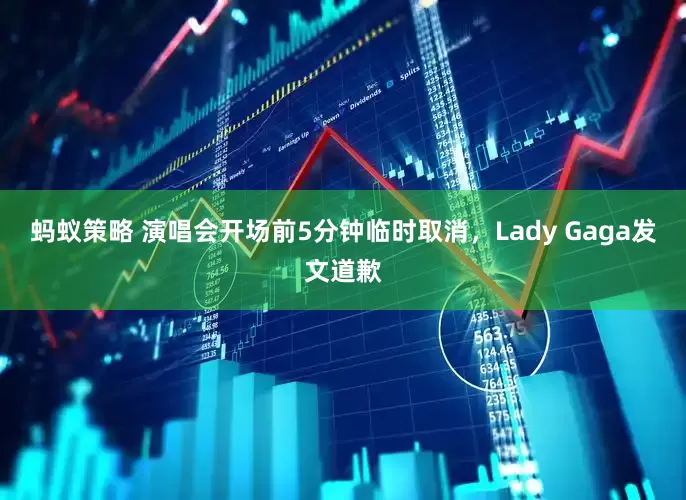 蚂蚁策略 演唱会开场前5分钟临时取消，Lady Gaga发文道歉