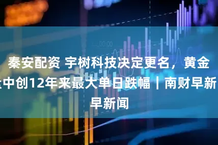 秦安配资 宇树科技决定更名，黄金盘中创12年来最大单日跌幅｜南财早新闻
